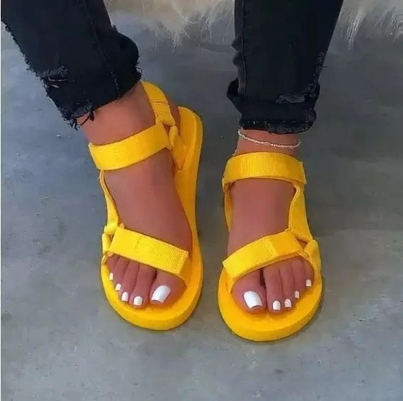 1COLOR😎🤙